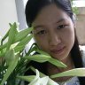 hoangyenbct