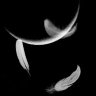 Moon101