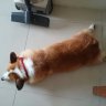 Mr_Minh