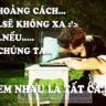 Dong093342