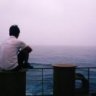 Trần Việt Anh