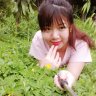 Noha Trần