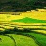 DuongAnhFarm