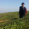 Phí Quang Kha