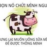 Lê Nguyễn Hoàng Bắc