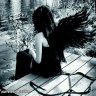 black_wings