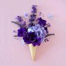 VanLoveViolet