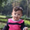 nguyenthao811