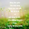 le thanh sang