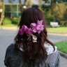 wallflower1312