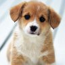 thao_tk