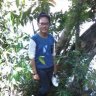 Đào Duy Tùng