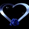 weloveproshow
