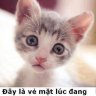 blackboy260691