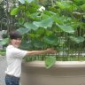 ThuongNguyen