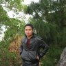 fallow25
