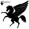 Pegasuz.