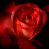 tien_1994