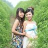 meo_koj89