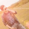 David_Huynh