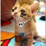 Trà My ♥ Gấu
