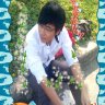 nguyenphongart