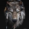 Lonely_Wolf