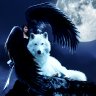 DragonKid252