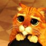 Mon-dangercat