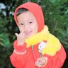 phan hoang 85