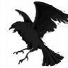 blackbirds