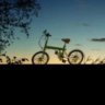 Ncn