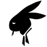 haitran2302