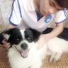 Thầy Giáo Thảo