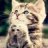 keilly_K