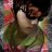 khoa_0_ga