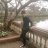 Loyal_Love