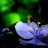 huyhoang.neu