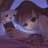 Liti mon