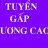 thuyquy10