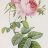 DesignArt