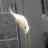quan.dnn
