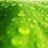 hena_pro