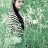 phuong.arch