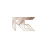 Rin Gaming