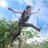 vietcuong_910