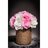 NGALAMSON2012