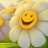 thuannguyen29