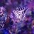 Butterfly_Die