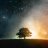 Huy_Nguyen_1101